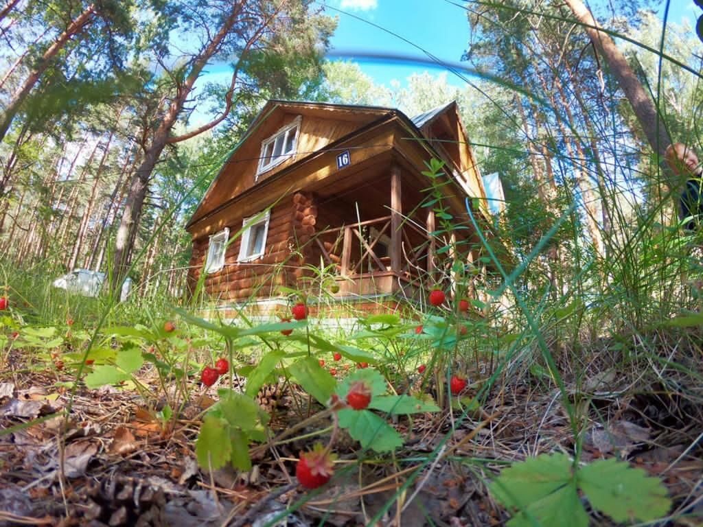 База отдыха КУСТОРКА | Нижегородская область, Павловский район